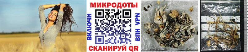 Галлюциногенные грибы мухоморы  Моршанск 